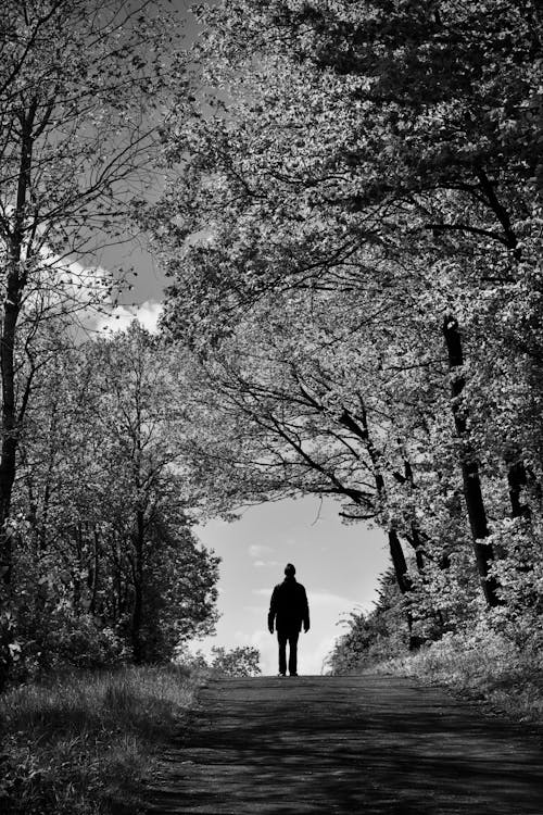 A person walking a forest path toward the light